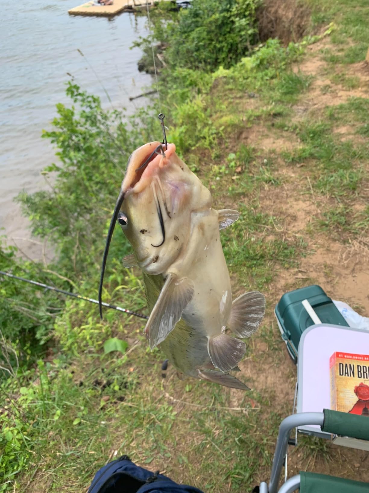 Ugly Stik 7' Catfish Spinning Fishing Rod and Reel Catfish Combo, Ugly Tech Construction with Clear Tip Design, 7' 2-Piece Moderate Fast Action Rod customer photo 1