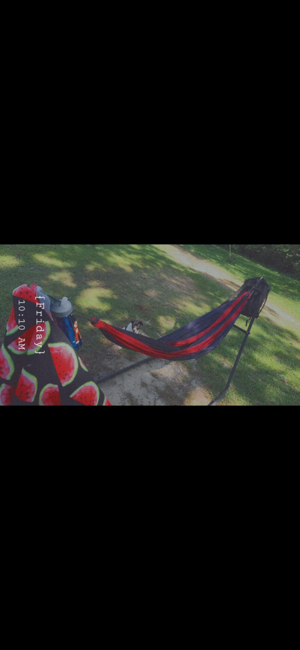 Sunnydaze Universal Double Hammock Stand Only - 550-Pound Capacity - Heavy-Duty Hammock Stand for Outside - Fits 9 to 14 Foot Hammocks - Black customer photo 1