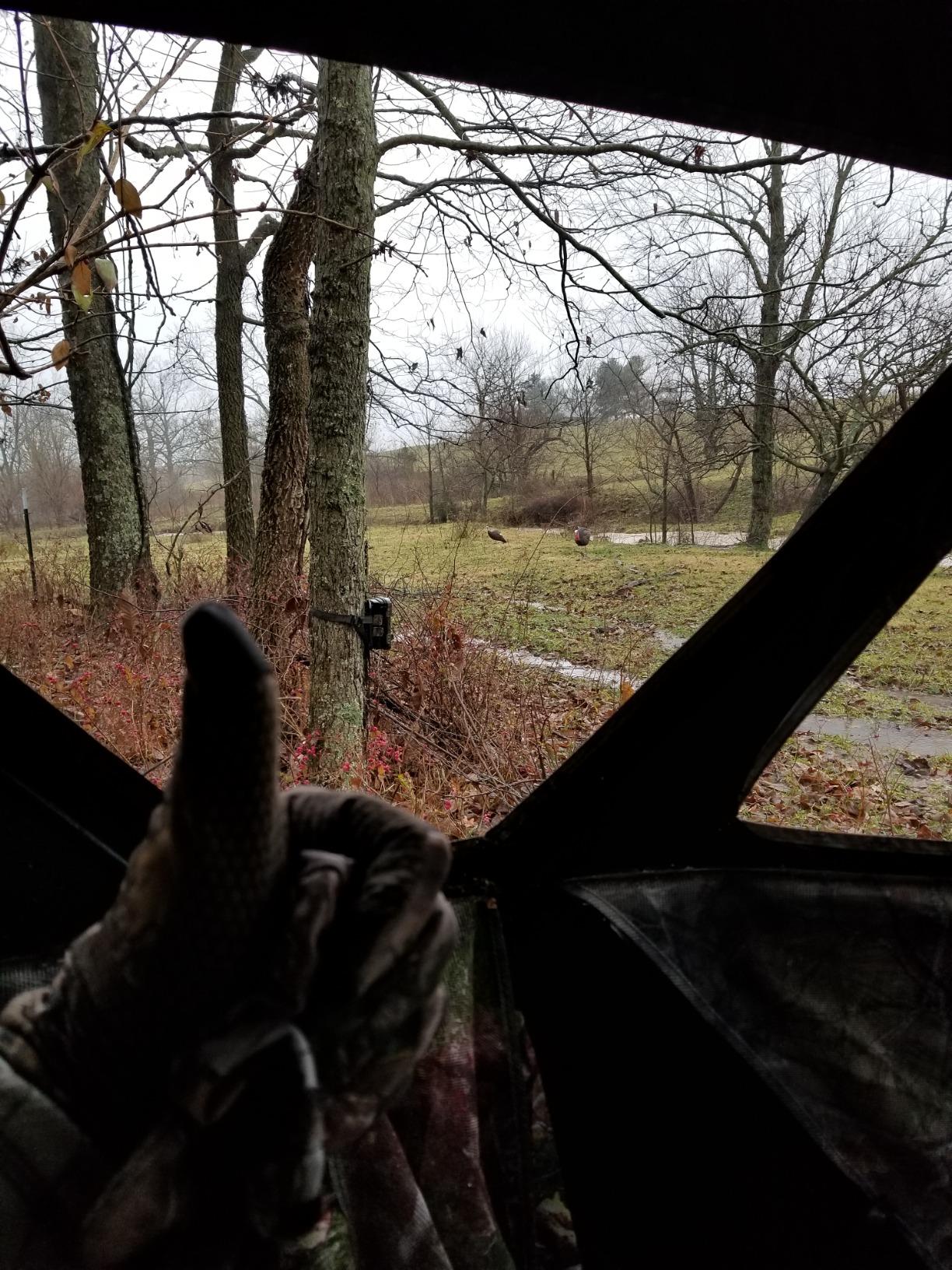 Barronett Blinds RA200 Radar Pop Up Portable Blind, Bloodtrail Backwoods Camo, 67