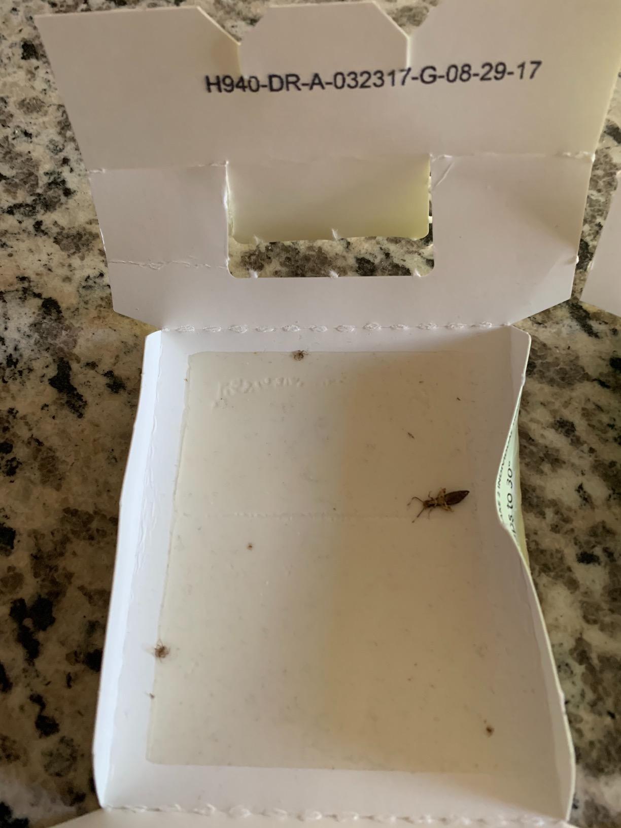 HARRIS Bed Bug Traps - Parent (20-Pack) customer photo 2