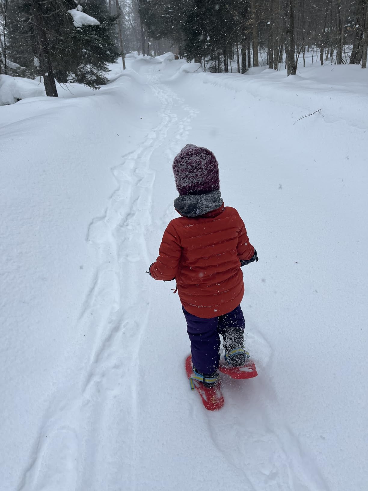 Tubbs Snowflake Snowshoe - Kids' customer photo 1