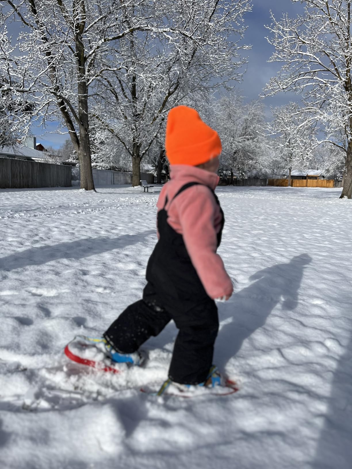 Tubbs Snowflake Snowshoe - Kids' customer photo 2