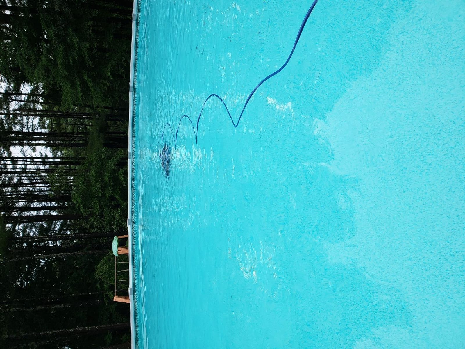 Dolphin Escape Robotic Pool Cleaner (2026 Model) - Massive Top-Loading Filter, Dual Motors, HyperBrush, HyperGrip Tracks, Smart Navigation - for Above Ground & In-Ground Pools up to 33ft customer photo 1