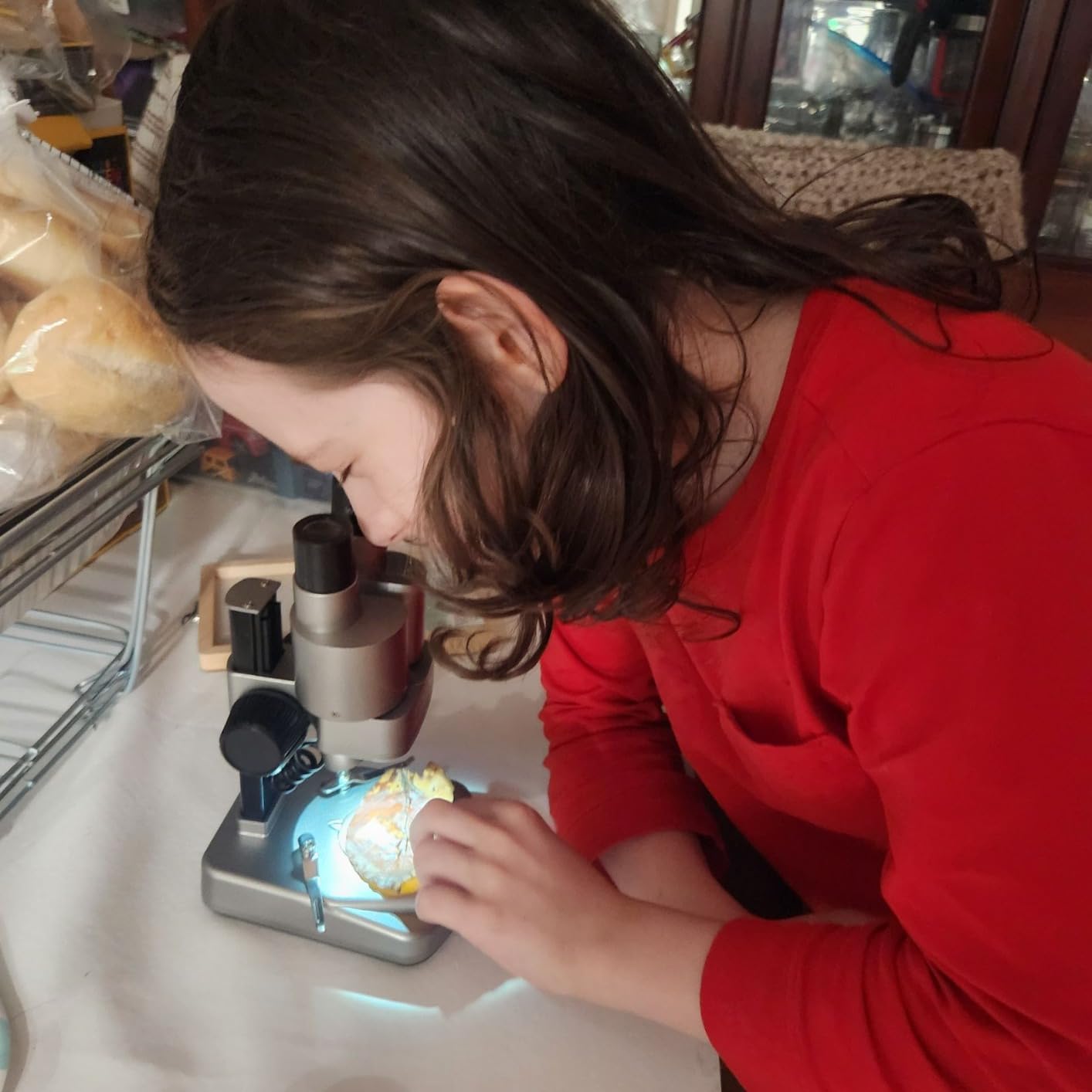 National Geographic Dual LED Kids Microscope - 50+ pc Science Kit with 10 Prepared Slides & 10 DIY Blank Slides, Biology Experiment Activity, Microscope Kit for Kids 8-12 customer photo 1
