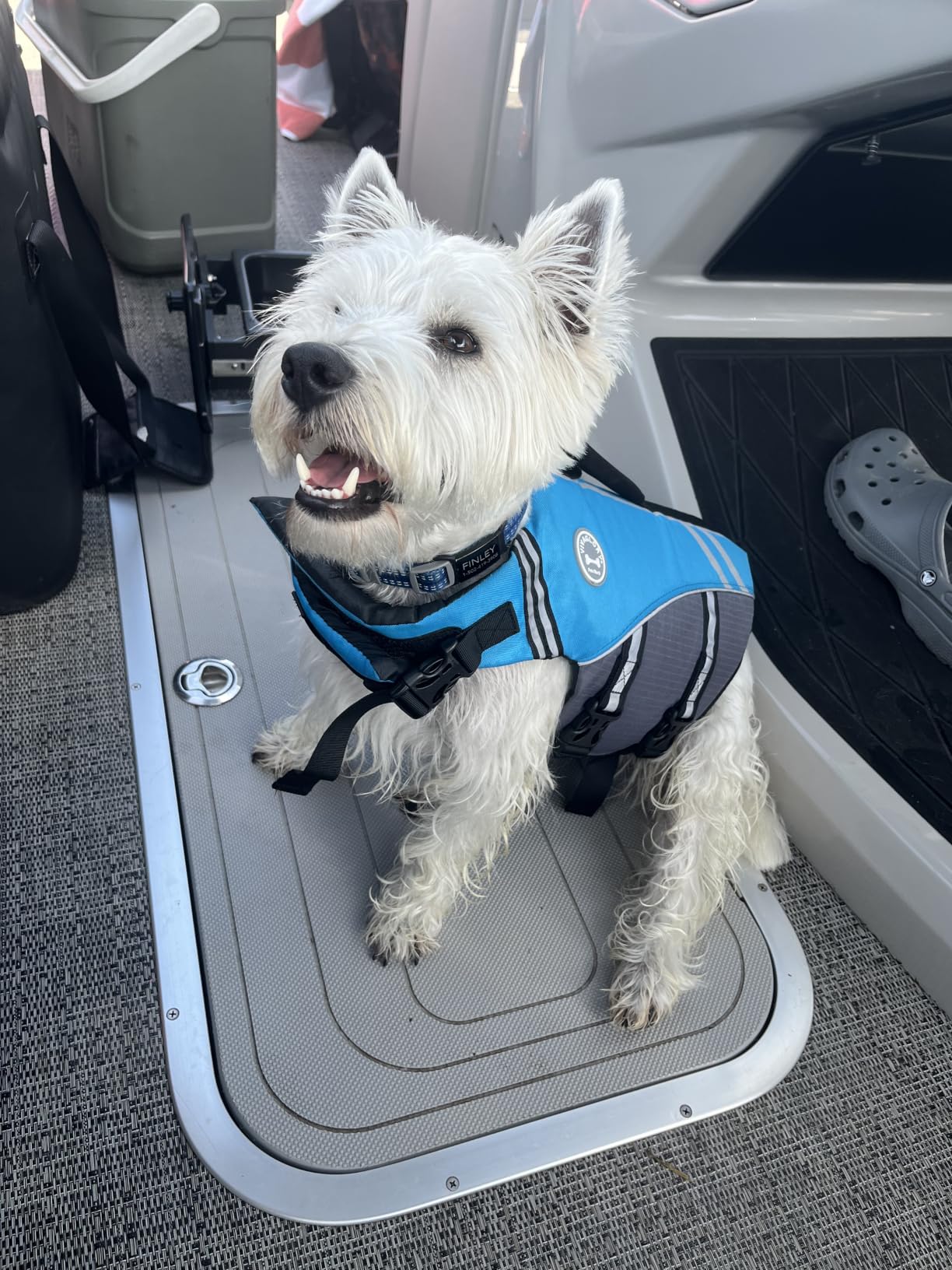 VIVAGLORY Dog Life Vest Sports Style Dog Swim Vest, M, Blue | Lifejacket with Leash Ring & Handle for Swimming & Boating, Reflective Adjustable for Puppy Doggy Cat customer photo 1