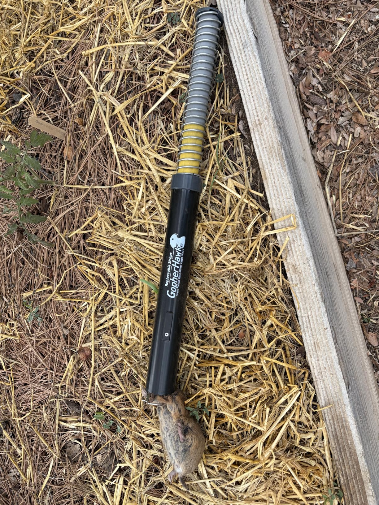 GopherHawk Single Trap for Gophers and Moles, 1 GH-TRP customer photo 1