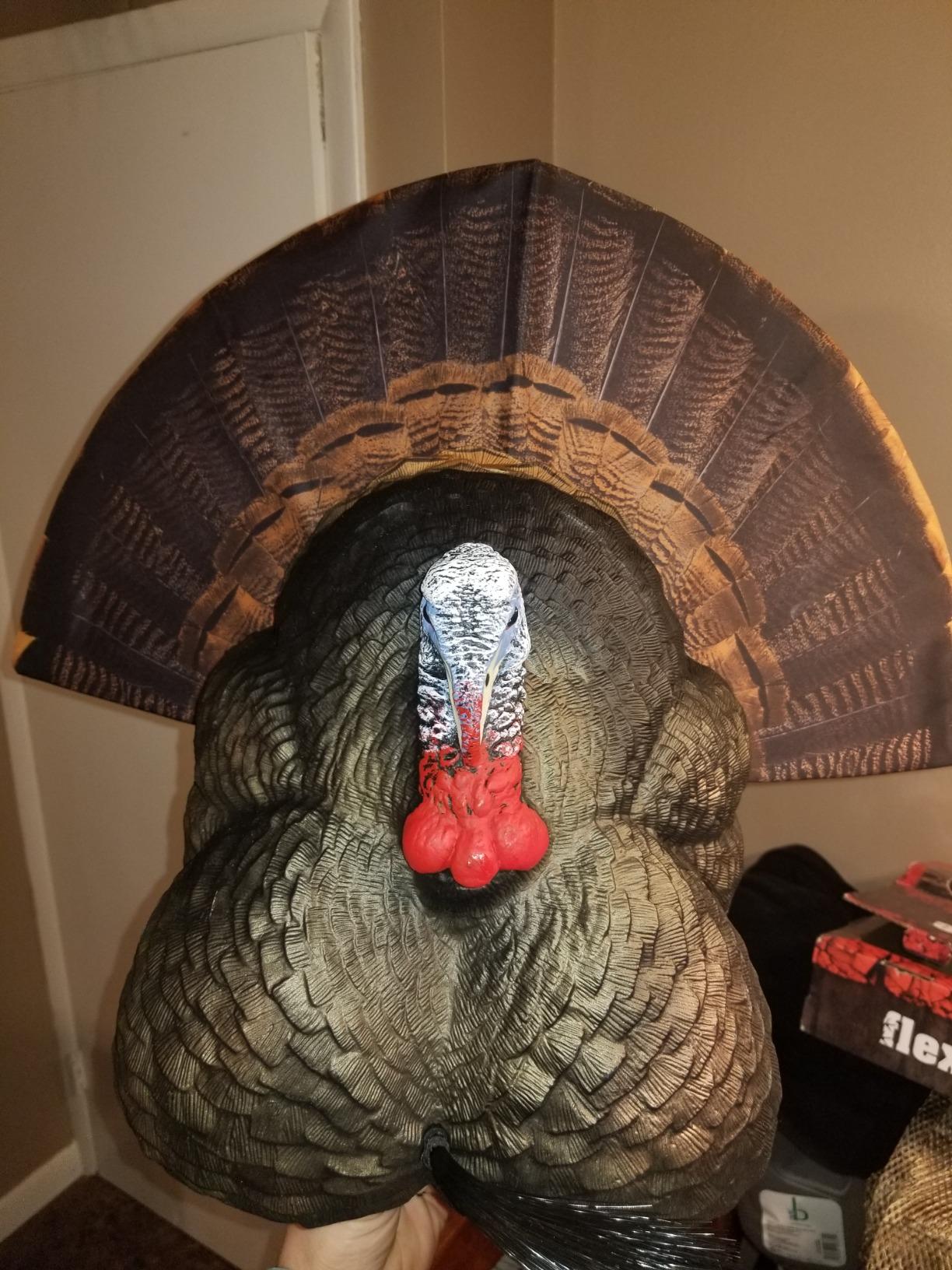Flextone Hunting Lightweight Ultra Realistic Lifelike Plastic Outdoor Thunder Creeper Gobbler Turkey Decoy customer photo 1