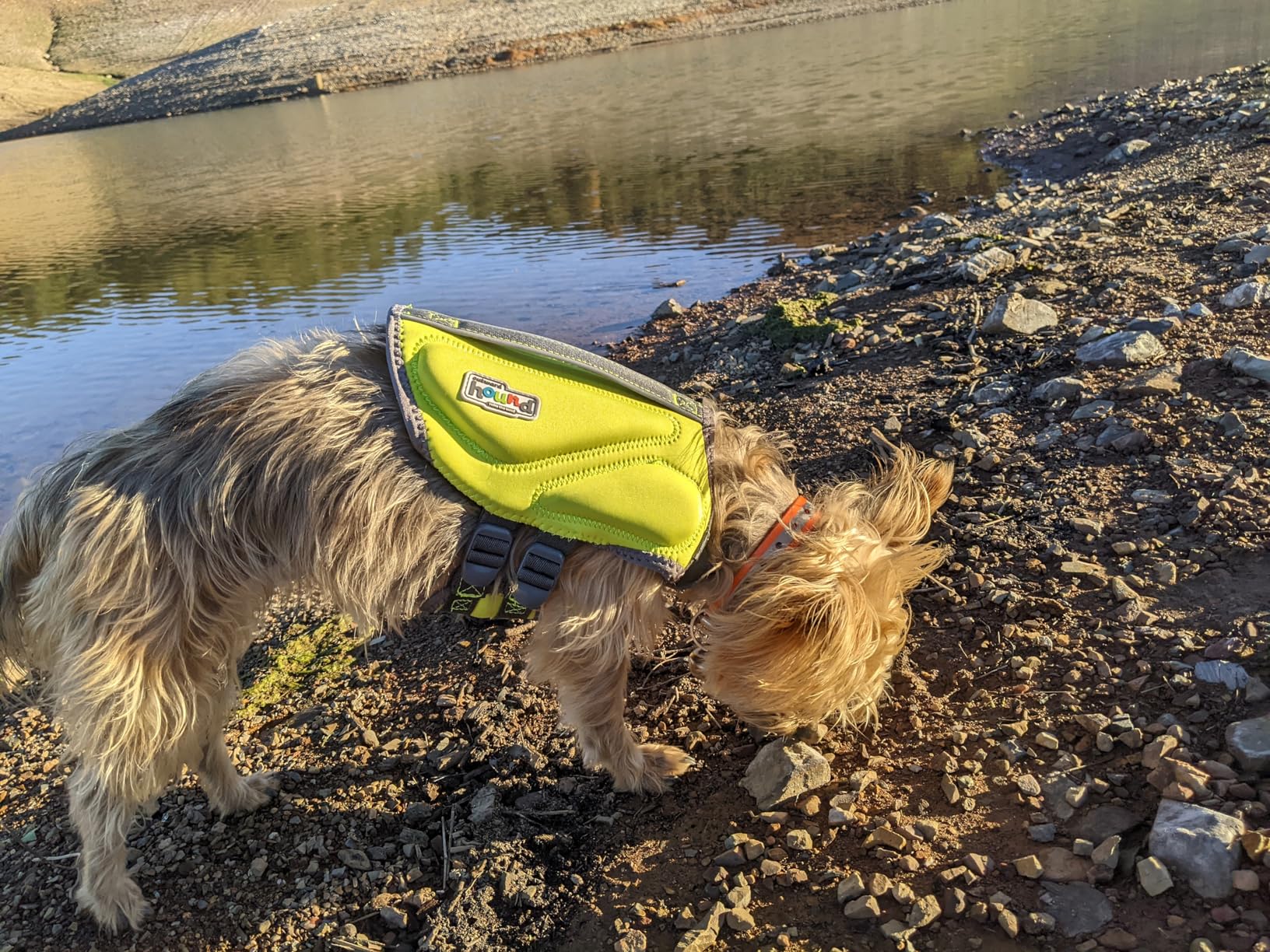 Outward Hound Dawson Swim Red Dog Life Jacket, Large customer photo 2
