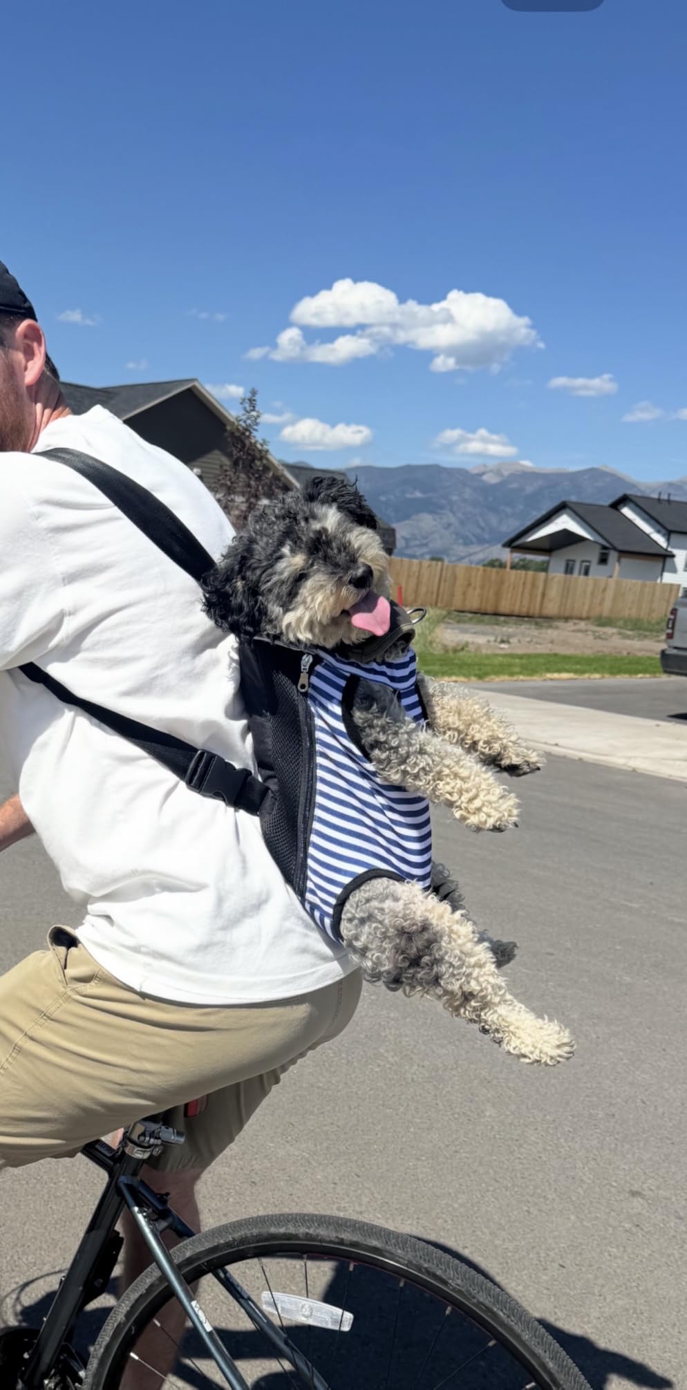 Pawaboo Pet Front Carrier Backpack for Small Medium Dogs | Legs Out Easy-fit,Adjustable Straps,Hands-Free,Soft Padded Support for Travel Hiking Cycling Camping,2.5-5Lbs,Black,S customer photo 1