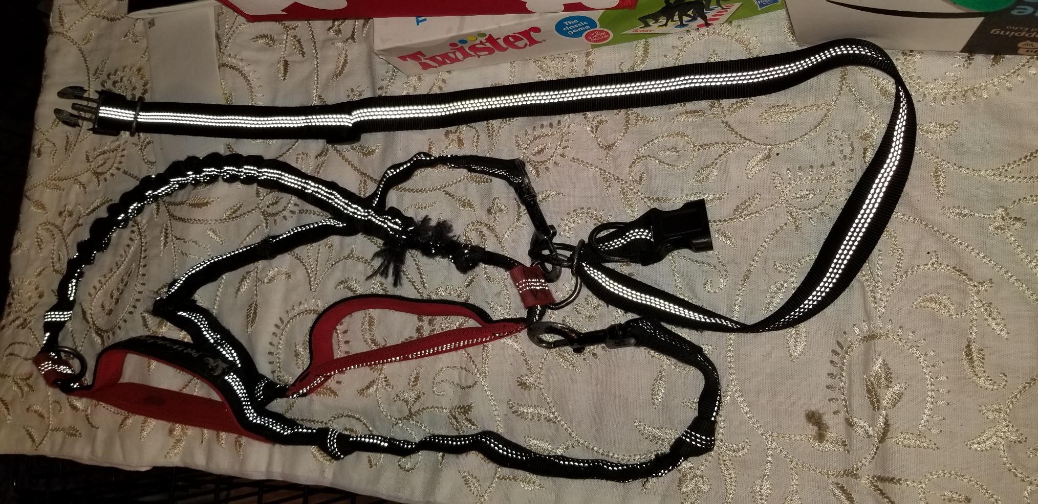 Pet Dreamland Exquisite Hands Free Leash for Large Dogs. Ultimate Comfort & Freedom for Running, Walking and Hiking. Premium Quality, Durable & Versatile Dog Walking Belt. customer photo 2