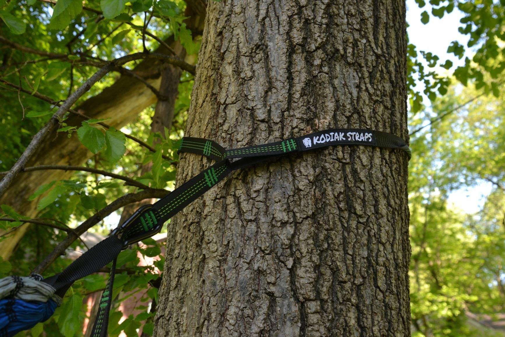 Bear Butt Kodiak Hammock Straps for Trees - 20 Feet Long, 40 Combined Loops - Holds 1000 Pounds - Camping Accessories With Carabiner customer photo 2