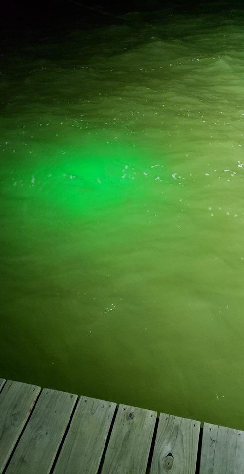Linkstyle 126 LED Underwater Submersible Fishing Light with 5M Cord, 13W DC 12V 1000ML LED Fish Finder Light Attractants Lamp + Battery Clamps for Ice Fishing Boat, IP68 customer photo 2