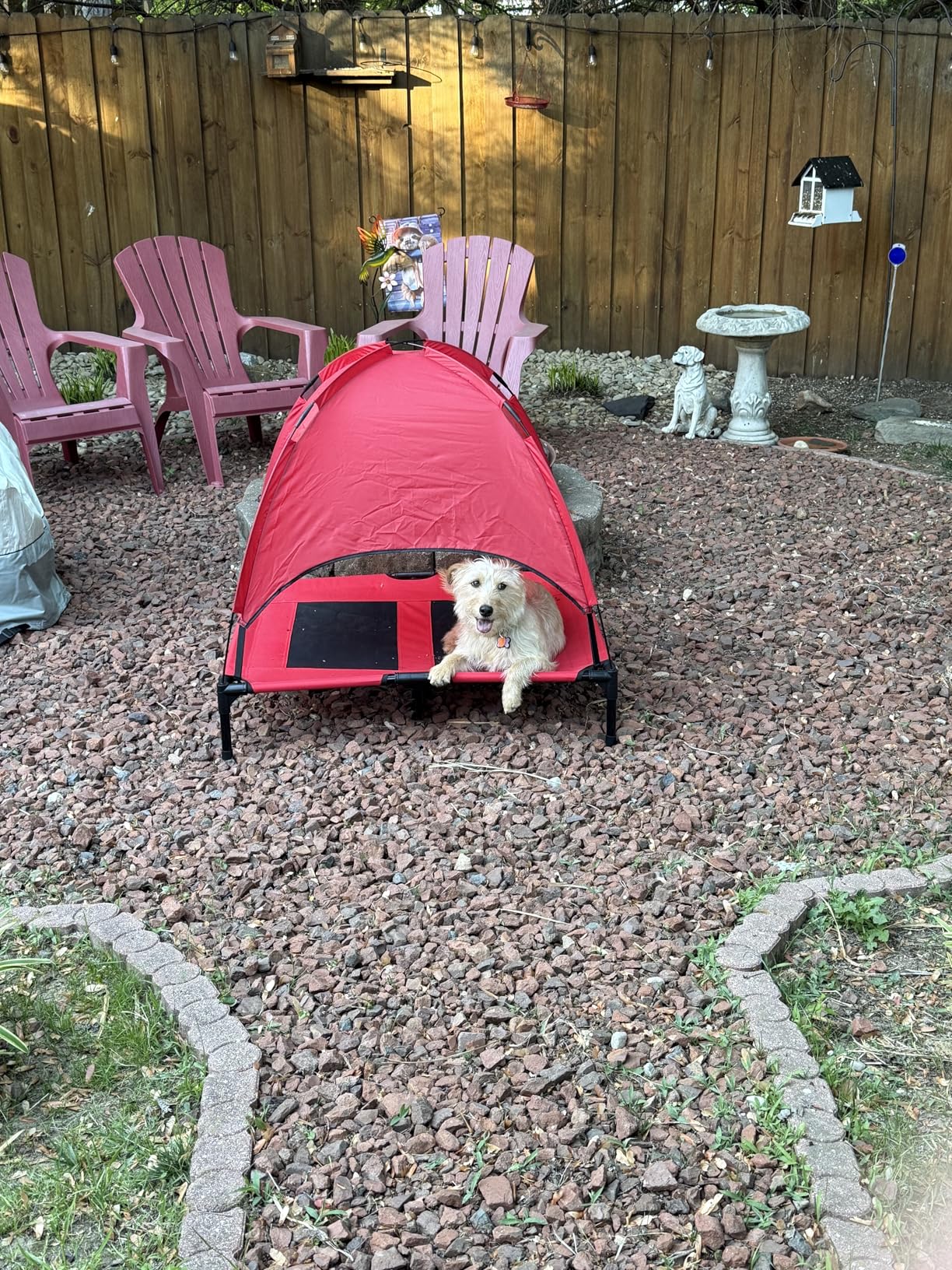 Best Choice Products 30in Elevated Cooling Dog Bed, Outdoor Raised Mesh Pet Cot w/Removable Canopy Shade Tent, Carrying Bag, Breathable Fabric - Red customer photo 2
