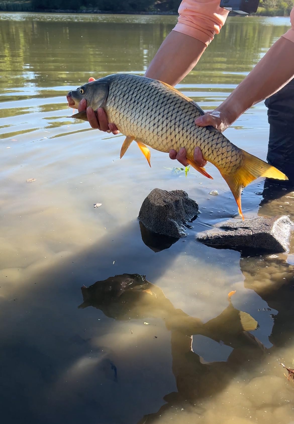 Inline Method Feeder Set Carp Fishing Tackle 4 Inline Method Feeders with 1 Rubber Mould Carp Fishing Accessories customer photo 2