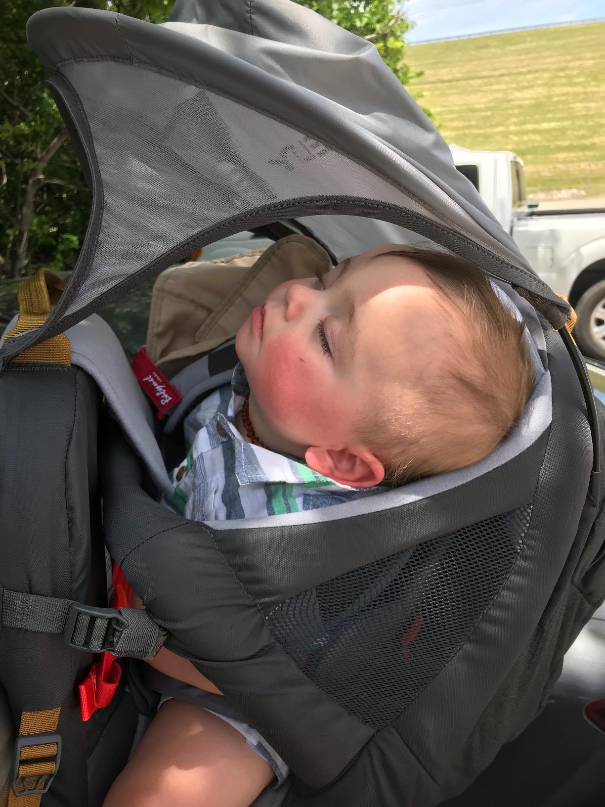 Kelty Journey Perfectfit Child Carrier Backpack | 5 Point Safety Harness, Fully Adjustable Suspension, Hipbelt, Large Zippered and Mesh Pockets, Max Load 48 lbs. customer photo 2