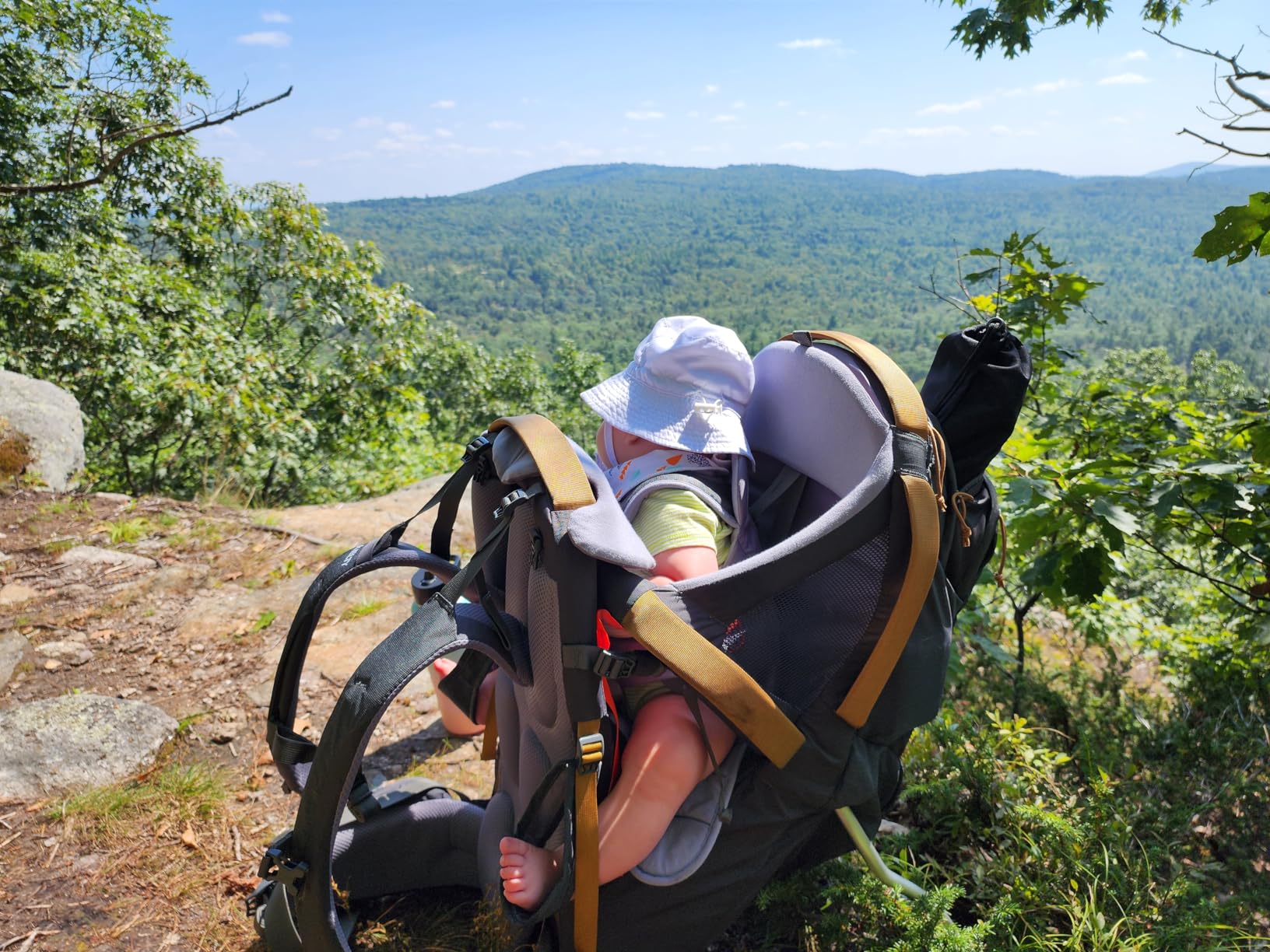 Kelty Journey PerfectFIT ELITE Child Carrier for Infants and Toddlers, Zippered Pockets, Waistbelt, Aluminum Frame, Sunshade customer photo 2
