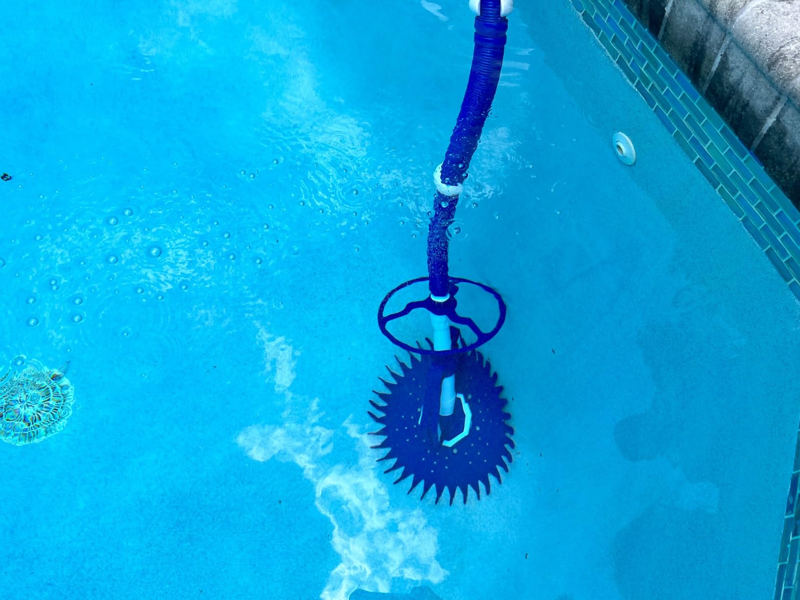 VINGLI Suction Pool Cleaner, Automatic Wall-Climbing Vacuum - Navy Blue | For both above-ground & inground pools, powerful suction climbs walls & floors, 33FT hoses included, Works with ≥3/4HP pump customer photo 2