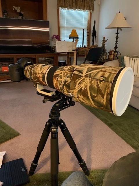 ProMediaGear GKJr Katana Junior Telephoto Lens Gimbal Head for Wildlife Sports Photography customer photo 1
