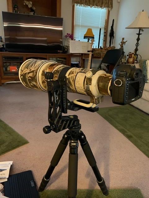 ProMediaGear GKJr Katana Junior Telephoto Lens Gimbal Head for Wildlife Sports Photography customer photo 2