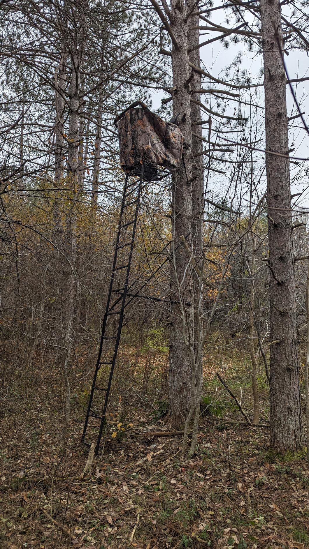 MUDDY 1-Person Huntsman Deluxe Steel Ladder Tree Stand, 17 ft Tall, 300 lb Capacity - Heavy-Duty Hunting Treestand with Lumbar Support Seat, Flip-Back Adjustable Shooting Rail & Silencer Technology customer photo 1