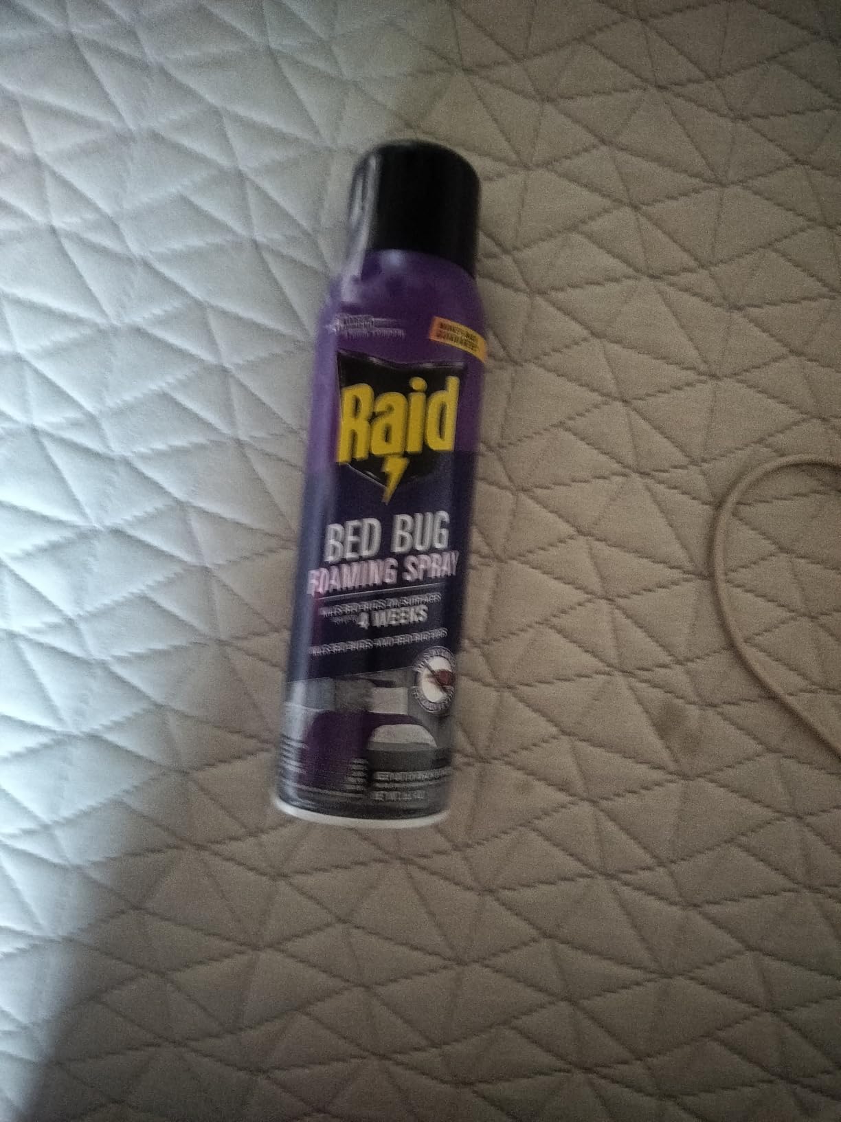 Raid Bed Bug Foaming Spray, Kills Bed Bugs and Their Eggs, for Indoor Use, Non-Staining, Keeps Killing for Weeks, 16.5 oz customer photo 1