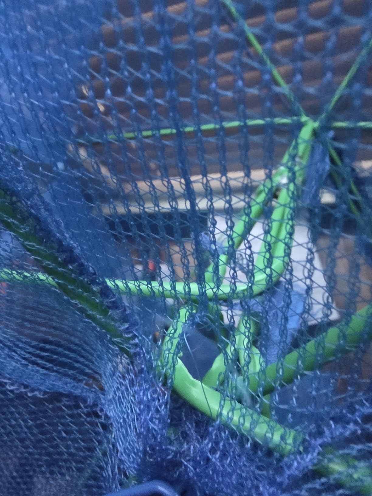 Foldable Bait Trap Fishing Net - Hand Cast Cage for Catching Fish Shrimp Crab Crawfish customer photo 1