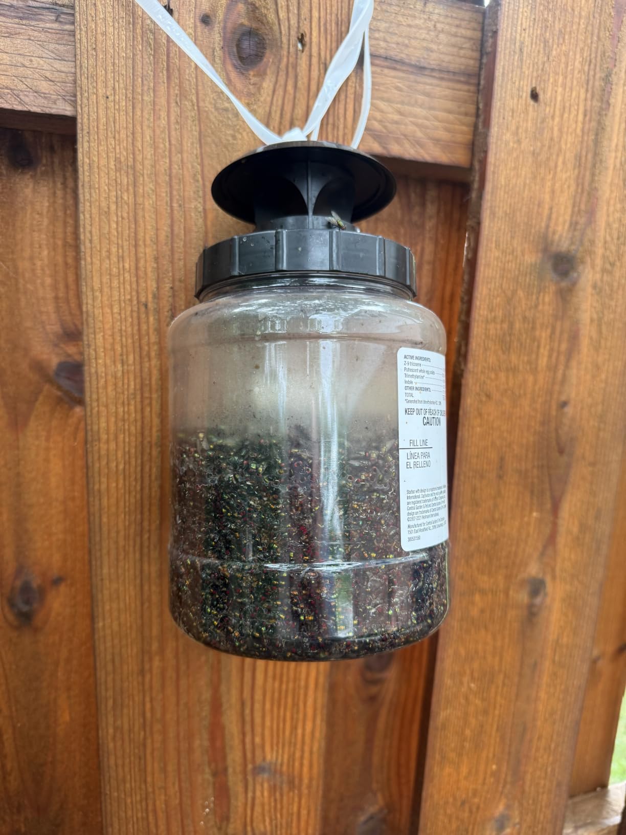 Starbar Captivator Outdoor 2 Quart Reusable Fly Attachment Hanging Jar Trap customer photo 2