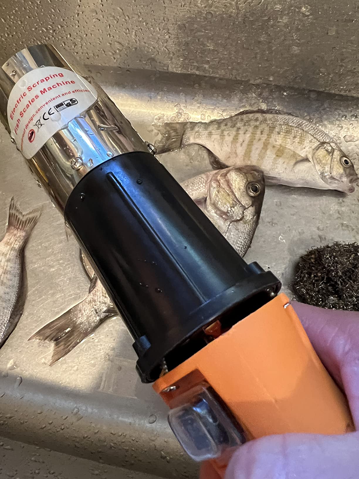 Electric Fish Scaler, Powerful Cordless Fish Scaler Scale Scraper Remover Cleaner Skinner Kit Build in 12V Rechargeable Battery customer photo 2