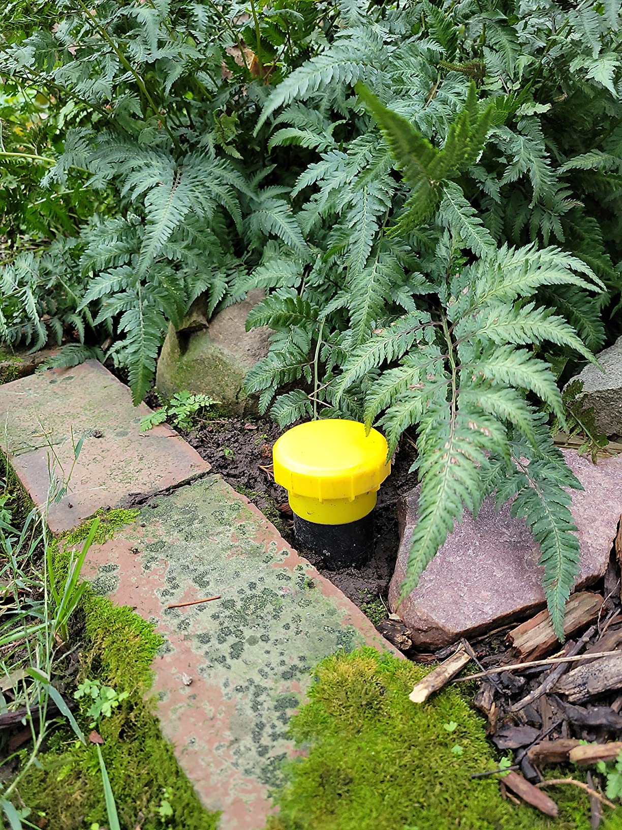 Victor Mole and Gopher Sonic Spike, 2-Pack | Chemical Free Outdoor Mole and Gopher Repellent for Lawns, 95 ft Diameter Coverage, Safe for Use Around People and Pets customer photo 1