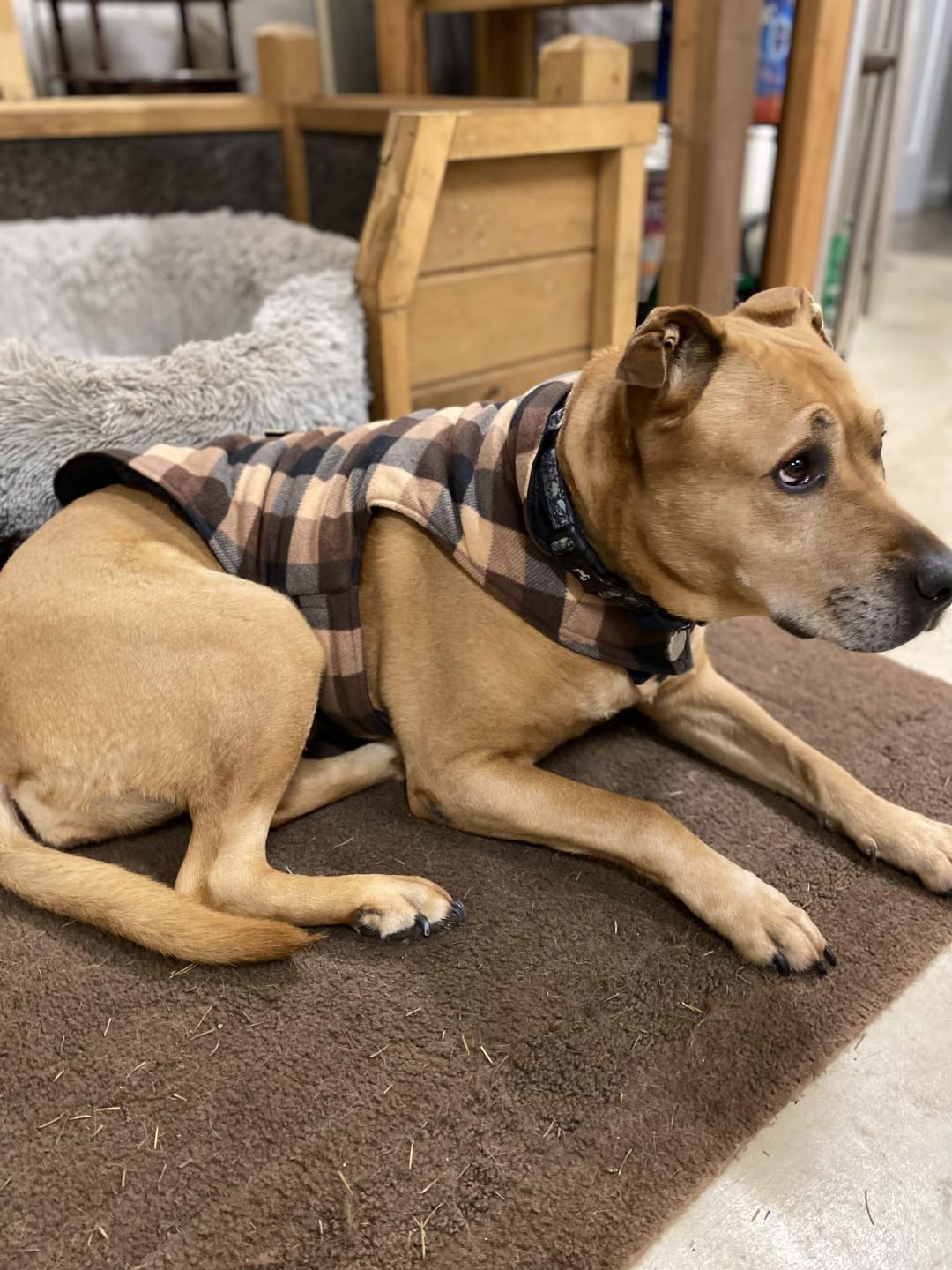 ASENKU Reversible Dog Winter Coat, Dog Jacket for Small Medium Large Dogs, Windproof Plaid Fleece Lining for Cold Weather, Water-resistant Outer Shell, Puppy Puffer Vest with Leash Hole, Red M customer photo 1