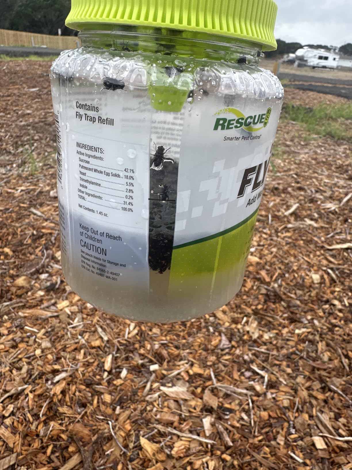 RESCUE! Outdoor Fly Trap - Reusable - 3 Traps customer photo 2