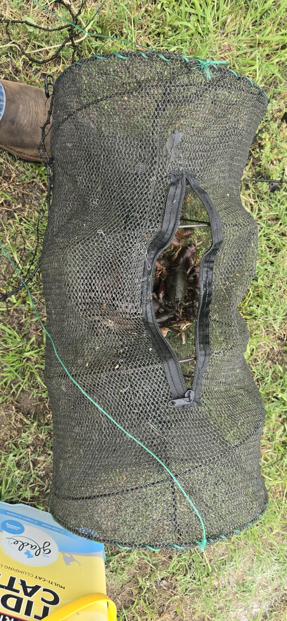 Fishing Bait Trap,2 Packs Crab Trap Minnow Trap Crawfish Trap Lobster Shrimp Collapsible Cast Net Fishing Nets Portable Folded Fishing Accessories,12.6X20.1inches customer photo 2