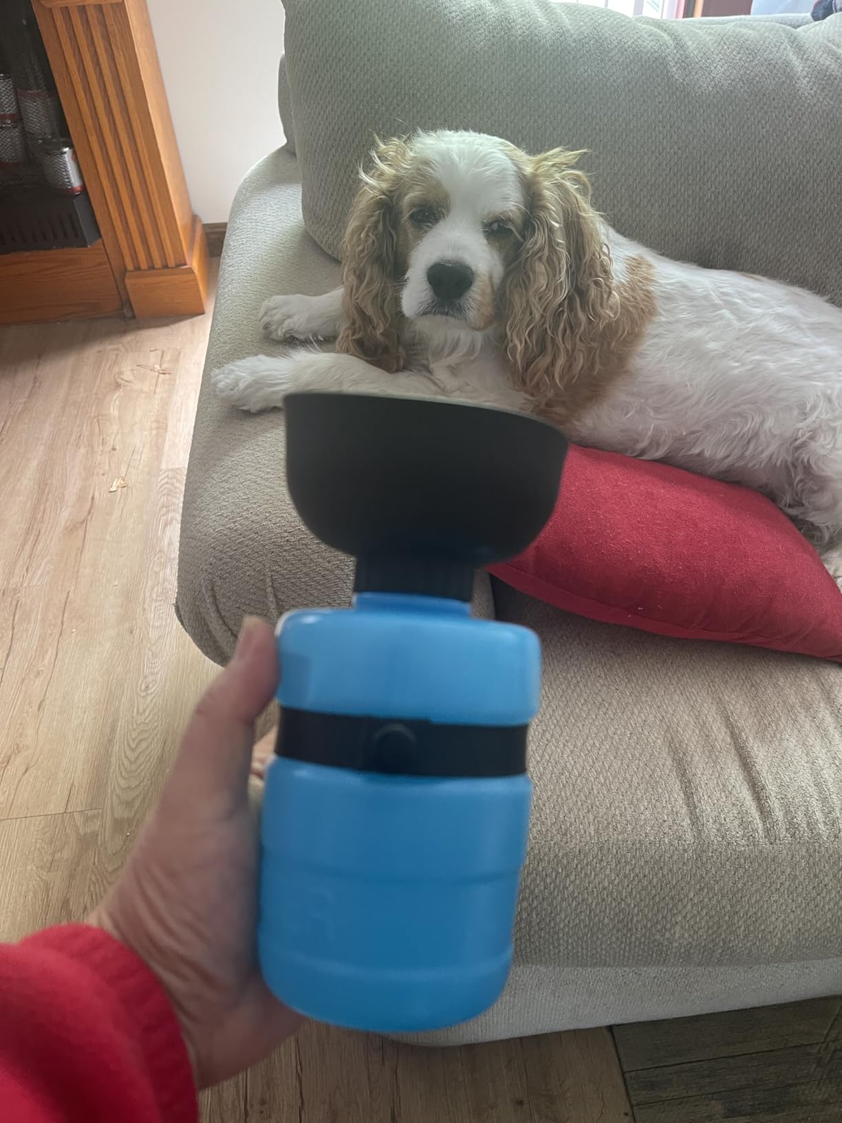 lesotc Dog Water Bottle, Portable Water Dispenser with Bowl, Leak Proof Pet Travel Squeeze Bottle, Puppy Essentials Dog Stuff Accessories for Outdoor Walking, Hiking, Camping customer photo 1