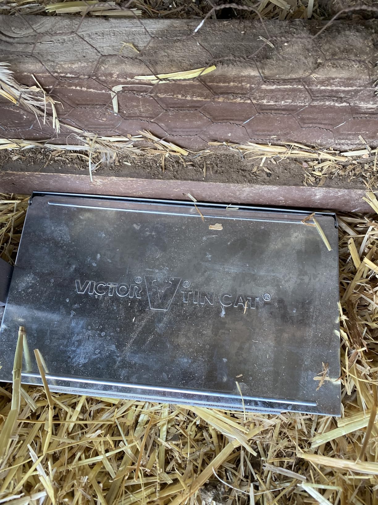 Victor Tin Cat Multi-Catch Live Mouse Traps, 2-Pack | Humane Indoor and Outdoor Catch and Release Rodent Traps for Mice, Metal Construction, Hold 30 Mice Per Setting customer photo 1
