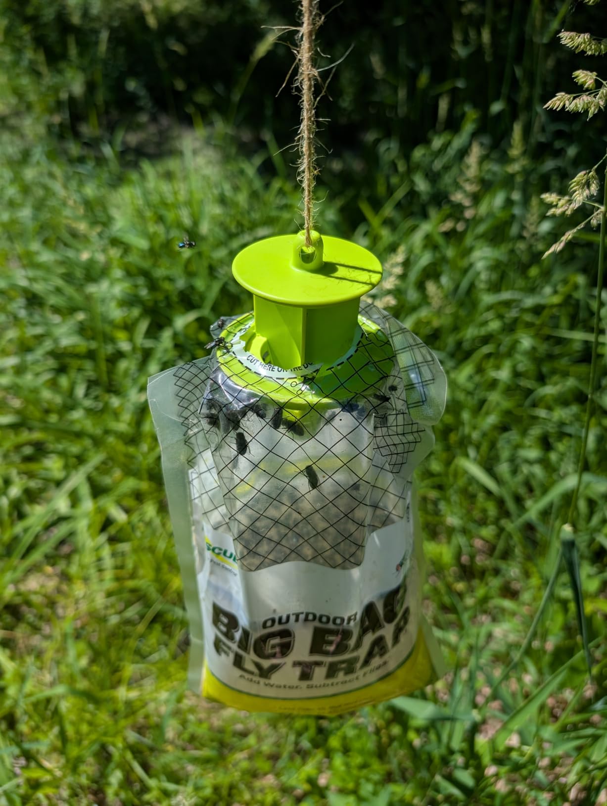 RESCUE! Big Bag Fly Trap - Disposable, Outdoor Use - 2 Traps customer photo 1
