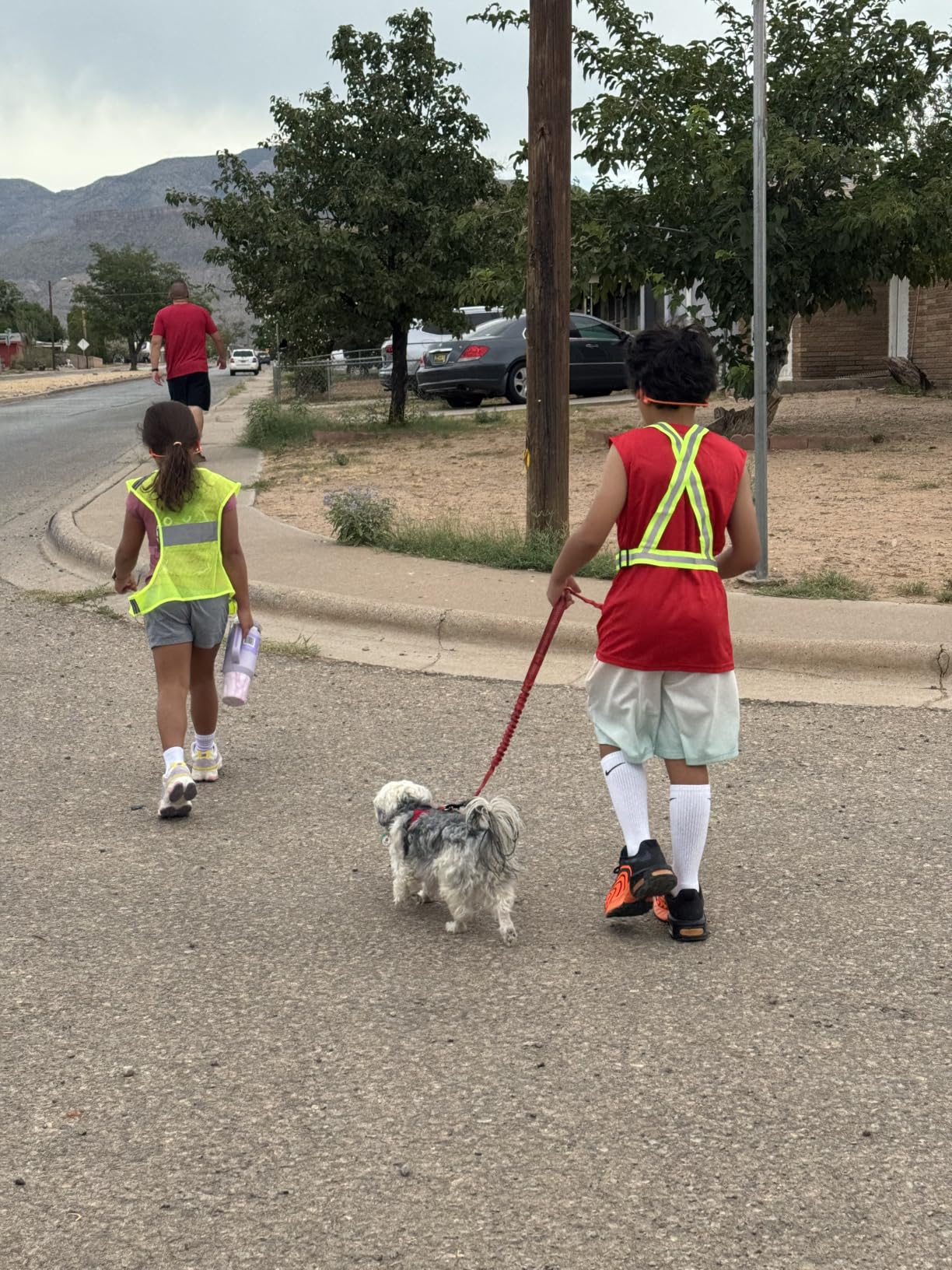 Reflective Vest Running Gear, Lightweight Reflective Safety Vests with Arm Bands customer photo 1