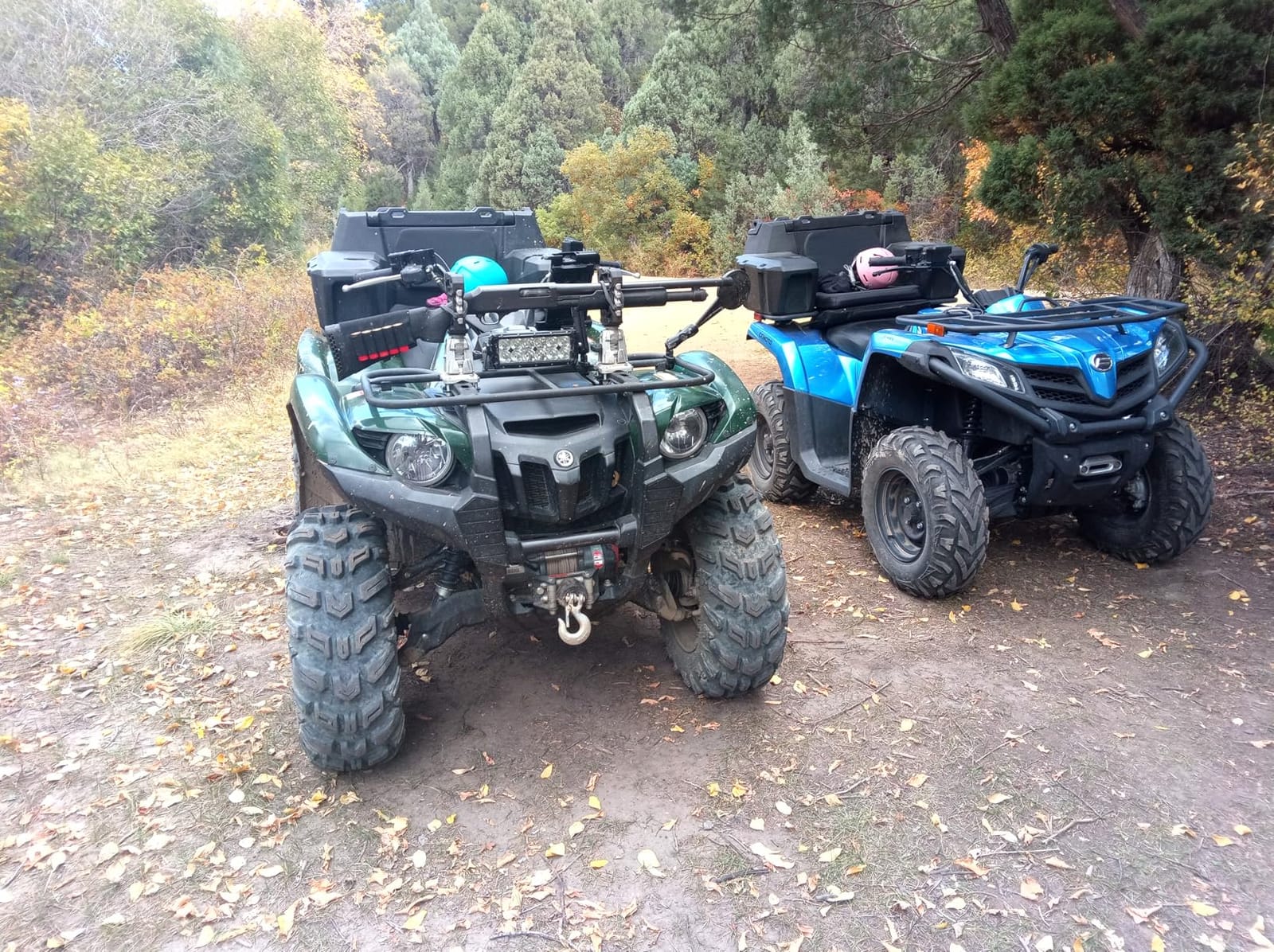 ATV Trunk & Lounger customer photo 1