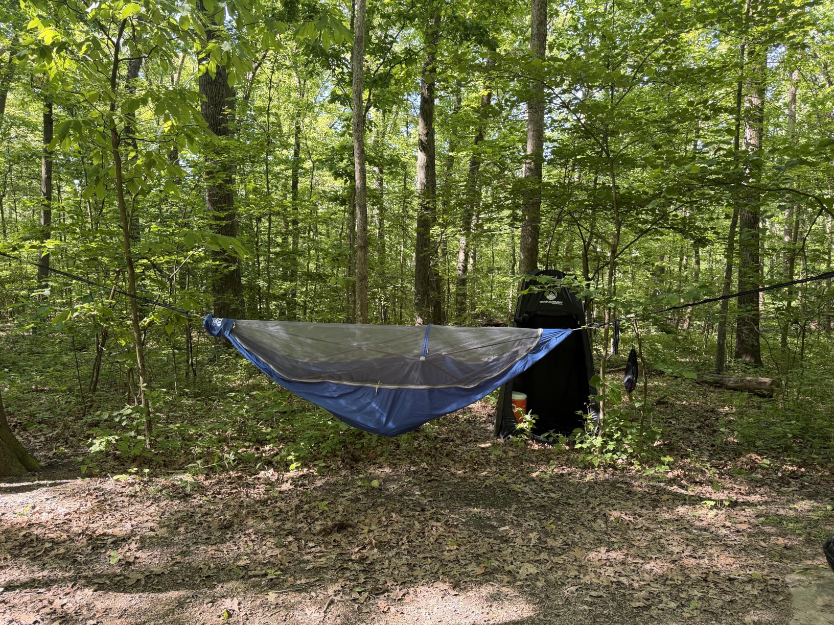 ENO Atlas XL Suspension System - Tree Strap for Hammock - Accessories for Camping, Hiking, and Backpacking - Black/Royal customer photo 1