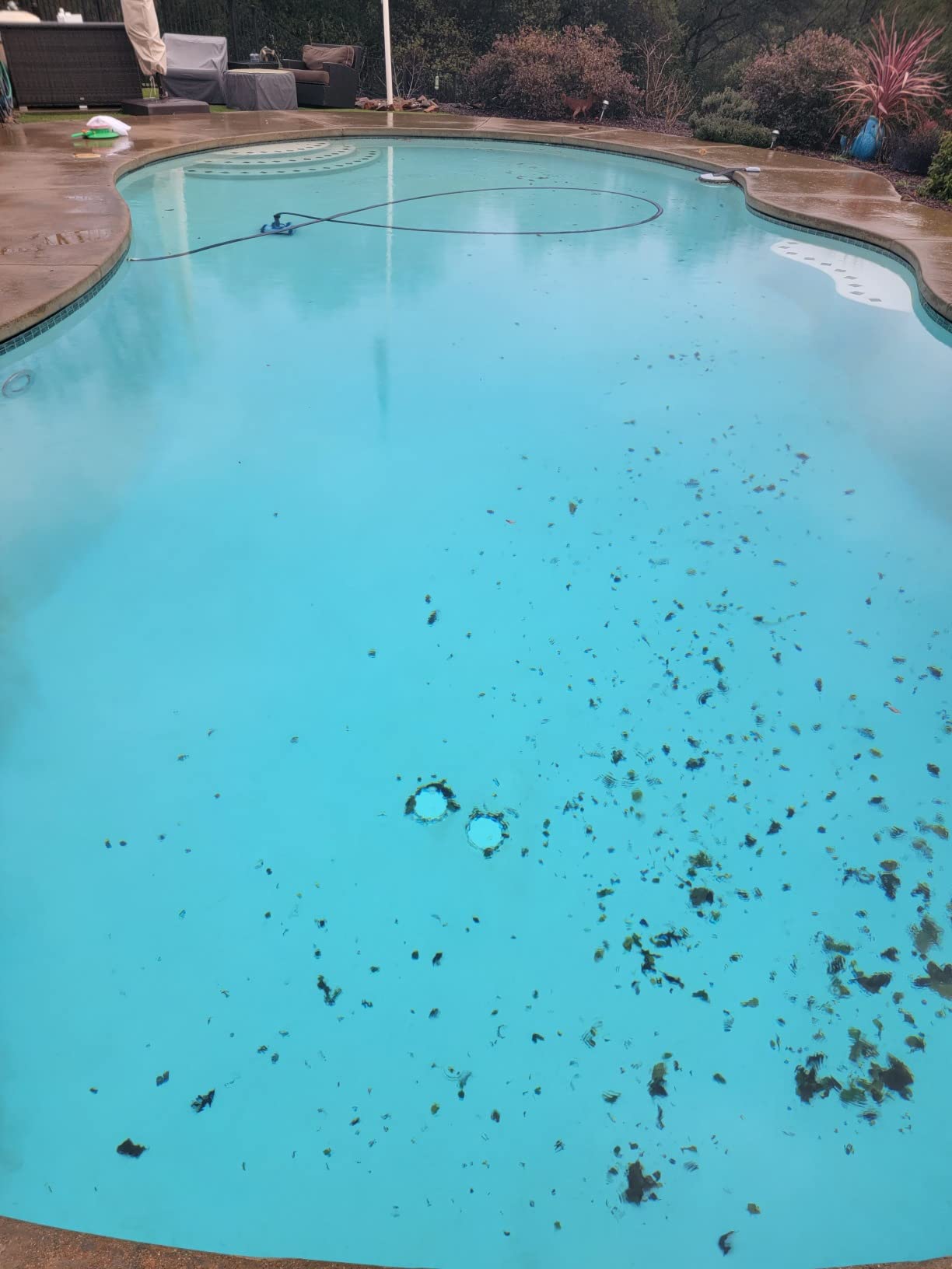 Hayward AquaNaut 400 Suction Pool Cleaner, Automatic Pool Vacuum (4 Wheel) | W3PHS41CST Cleaner for In-Ground Pools up to 20 x 40 ft | All the benefits of a pool cleaning robot with no complicated setup customer photo 2