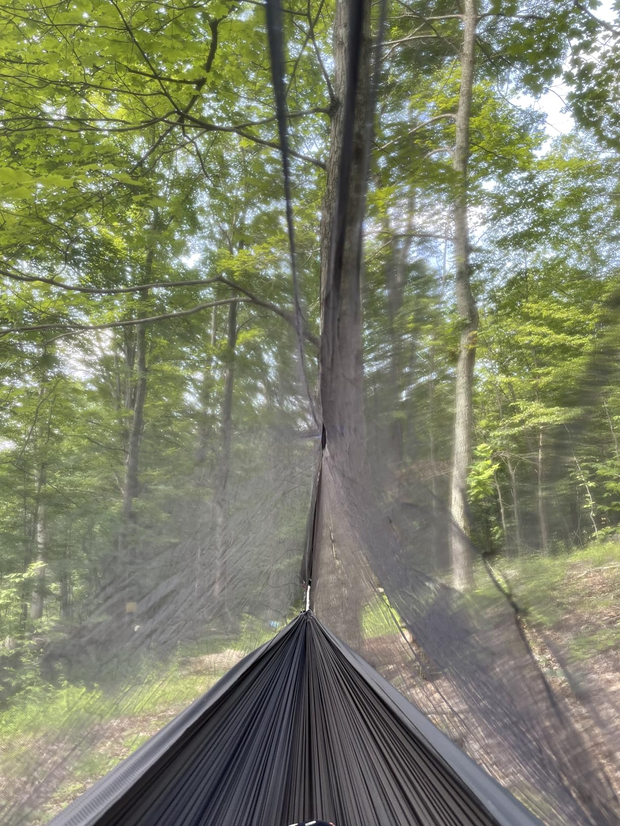 Mosquito net for Camping Hammock, Compact Lightweight Hammock Netting, 12' Long with Dual Sides Zippers Fits All Camping Hammocks customer photo 1