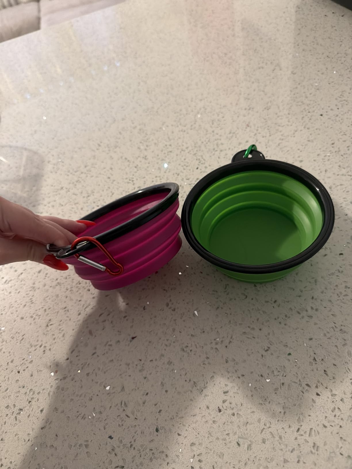 Dog Bowl Pet Collapsible Bowls, 2 Pack for Cats Dogs, Portable Pet Feeding Watering Dish for Walking Parking Traveling with 2 Carabiners (Small, Blue+Green) customer photo 2