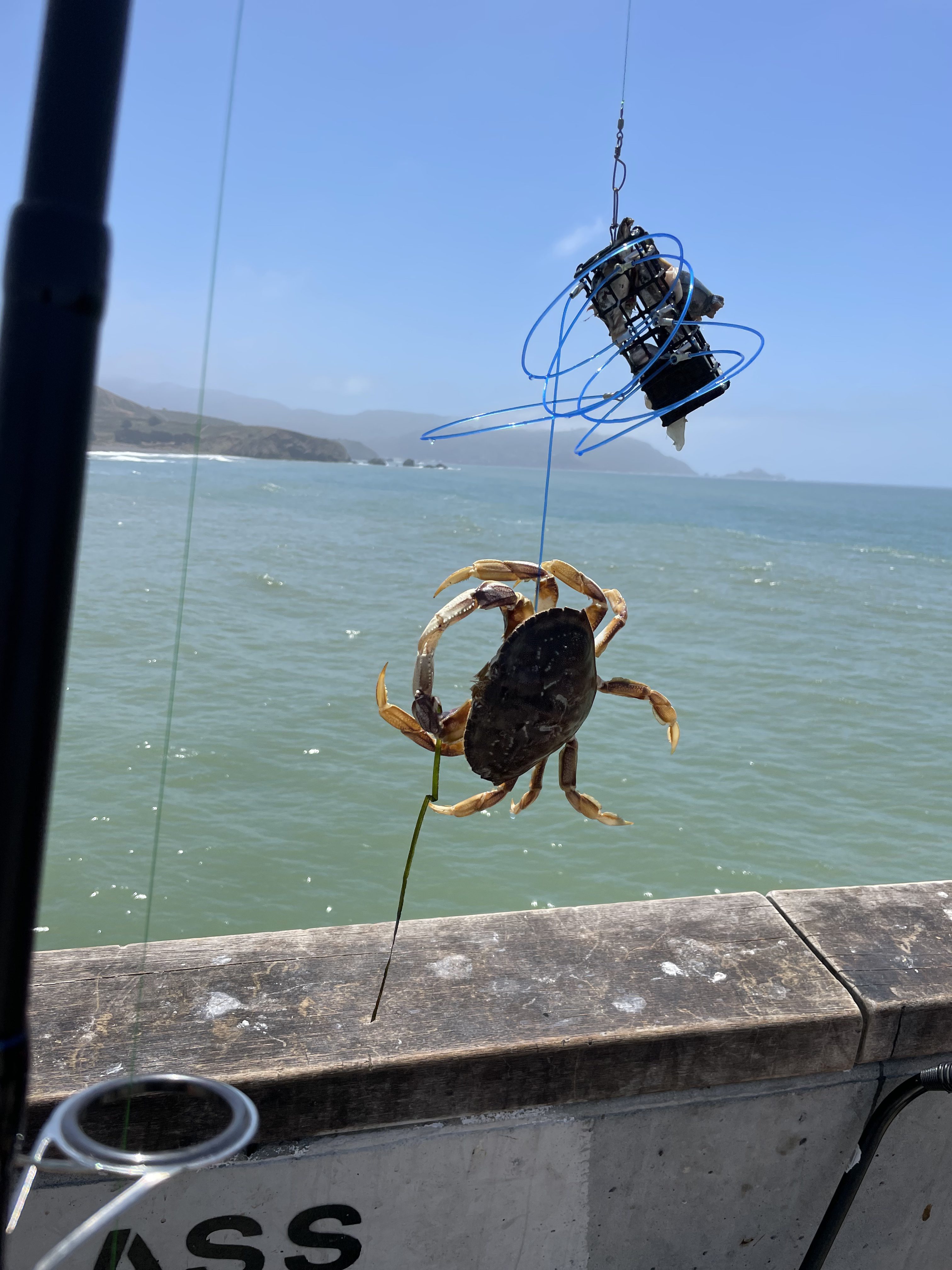 AirFly Castable Crab Trap for Pier, Jetty & Surf - 6-Loop Fishing Pole Crab Trap | Dungeness, Blue & Rock Crabs | Lead-Free | CA, OR, WA, MD & FL, Made in USA (2 Traps + Gauge Kit) customer photo 1