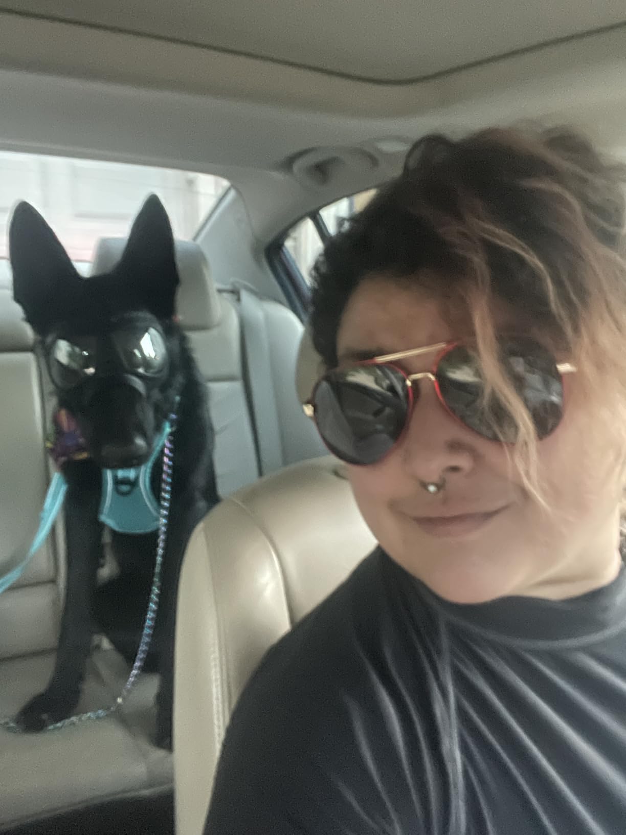 Dog Goggles for Large Dogs, Wide Snout & Soft Frame, Anti-UV Dog Sunglasses Medium to Large Breed, Tactical Driving Cycling Dogs Eye Protection, Windproof Dustproof, Adjustable, Black customer photo 1