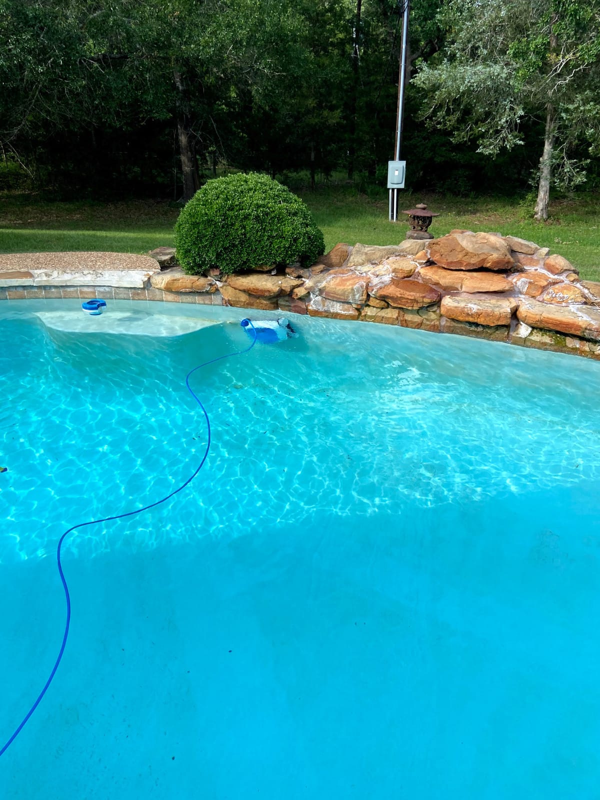 Dolphin Proteus DX3 Automatic Robotic Pool Vacuum Cleaner, Wall Climbing, Active Scrubber Brush, Ideal for In-ground Pools up to 33 FT in Length customer photo 1
