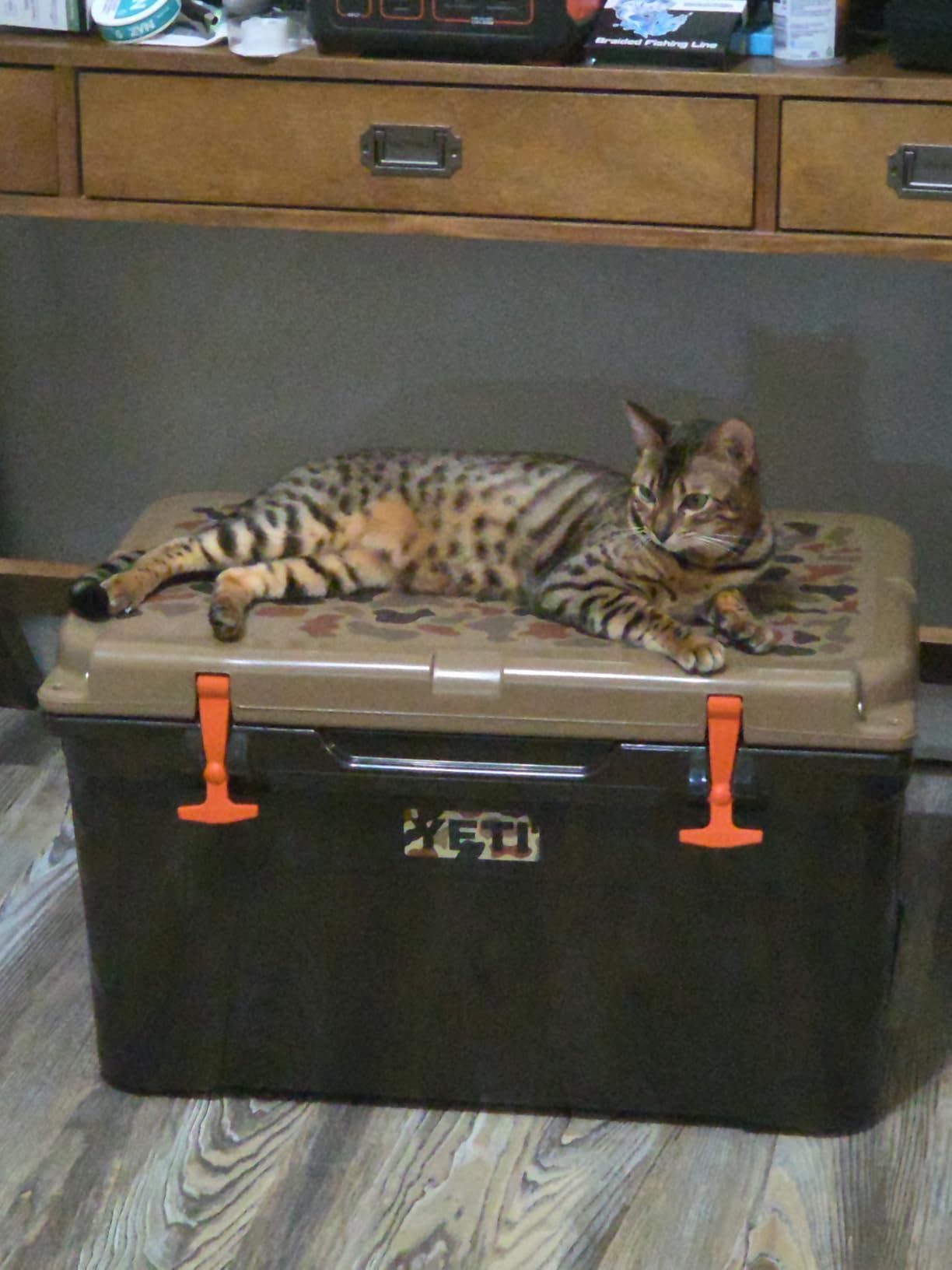 YETI Tundra 45 Cooler - Blue customer photo 2