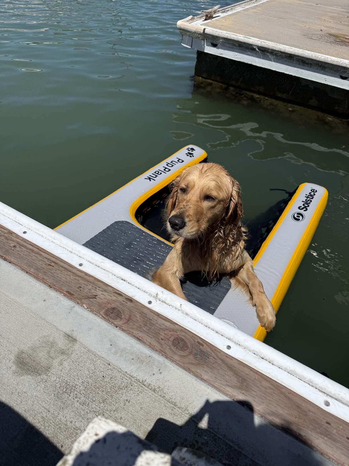 SOLSTICE Inflatable Pup Plank, Dog Water Ramp for Boats & Docks, Boost Step customer photo 1