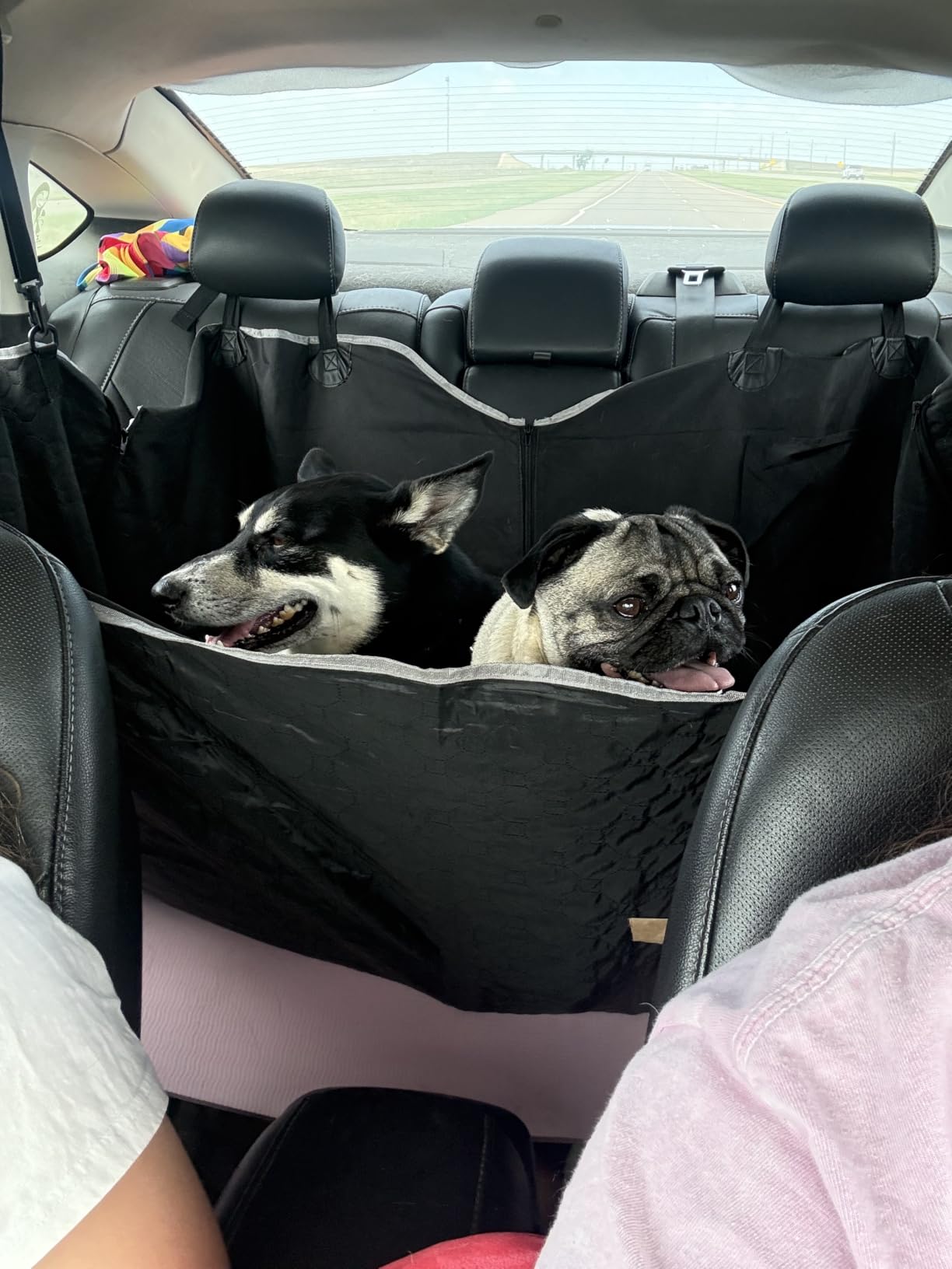 Mancro Dog Car Seat Cover for Back Seat, Waterproof Dog Hammock for Car | 600D Heavy Duty, Scratch-Resistant Back Seat Pet Cover for Dogs with PVE Nonslip Underside, Fits for Sedan, Trucks and SUVs customer photo 1