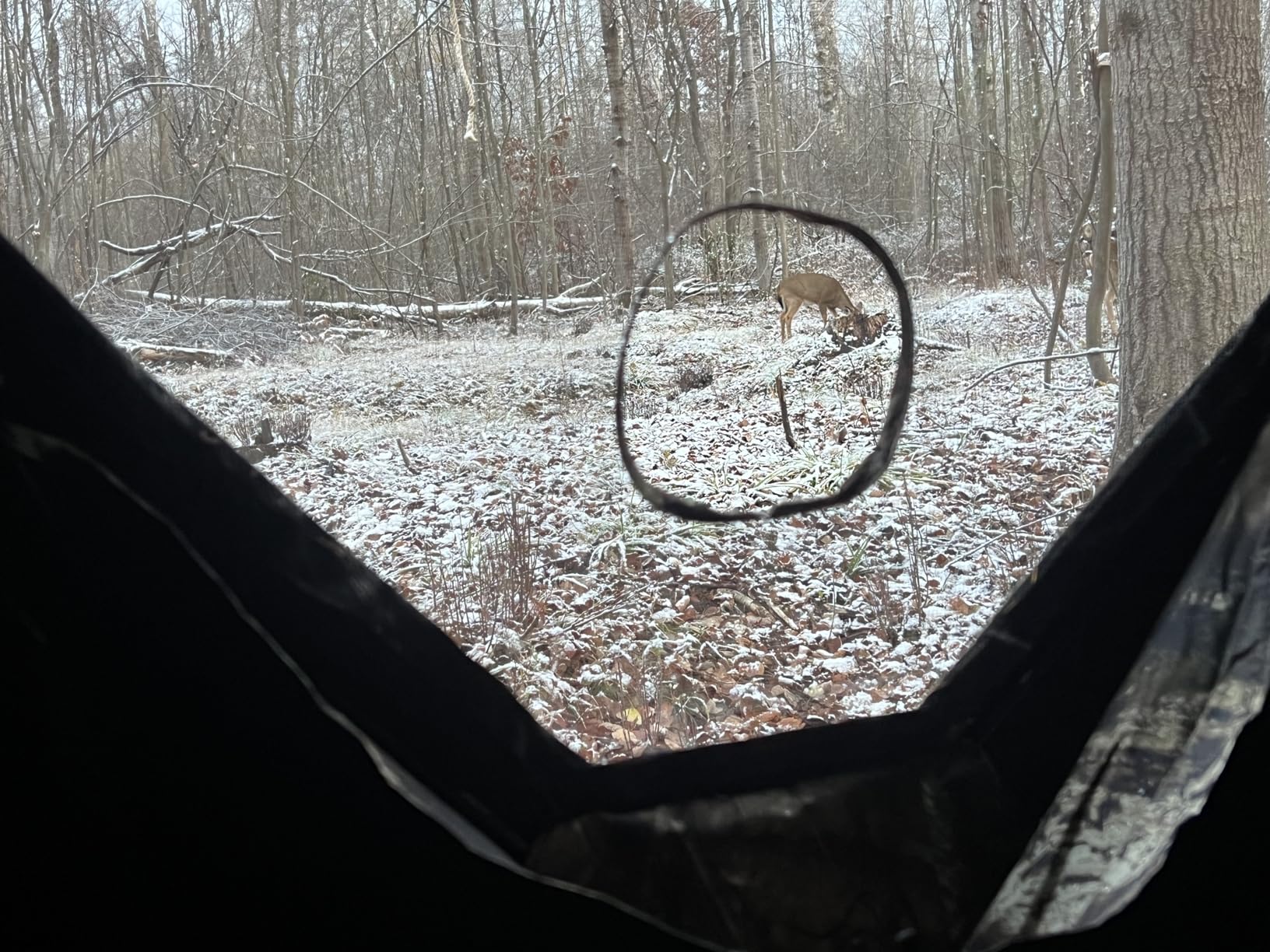 Ameristep Brickhouse Hunting Blind | 3-Person Ground Blind in Mossy Oak Break-Up Country, One Size | 3-Person Hub Ground Blind, Durashell Plus Shell, Shadowguard Interior, 10 Shoot-Through Windows, 59×59×67 in customer photo 1