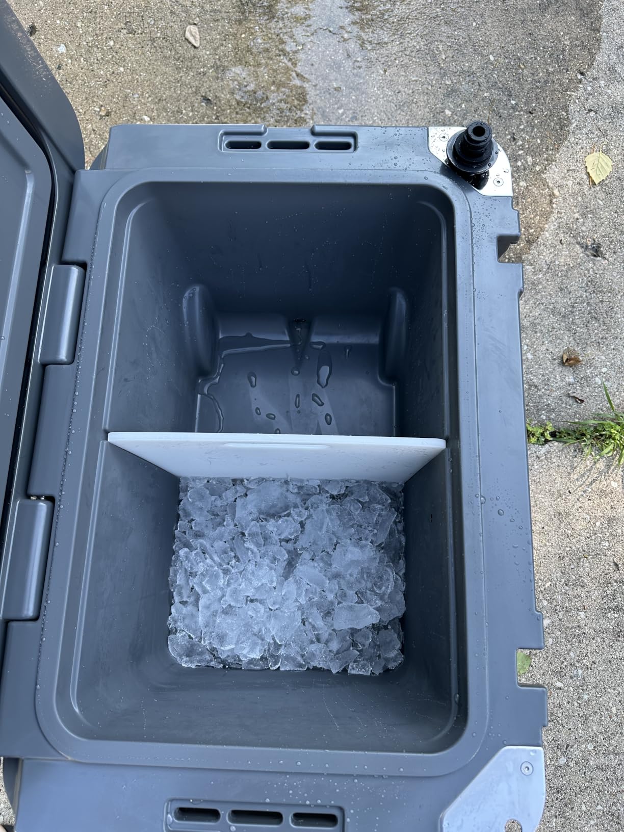 Blue Coolers Ice Vault - 60 Quart Roto-Molded Ice Cooler (Large Ice Chest Holds Ice up to 10 Days) customer photo 1