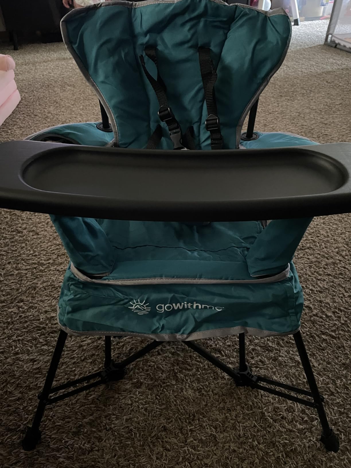 Baby Delight Go with Me Venture Portable Chair | Indoor and Outdoor | Sun Canopy | 3 Child Growth Stages | Moss Bud Green customer photo 1